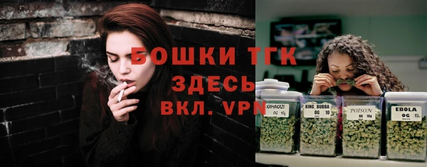 молекула духа Заводоуковск