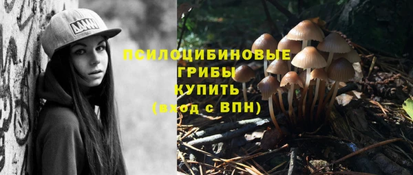мескалин Елизово