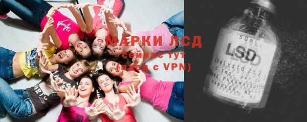 spice Елабуга
