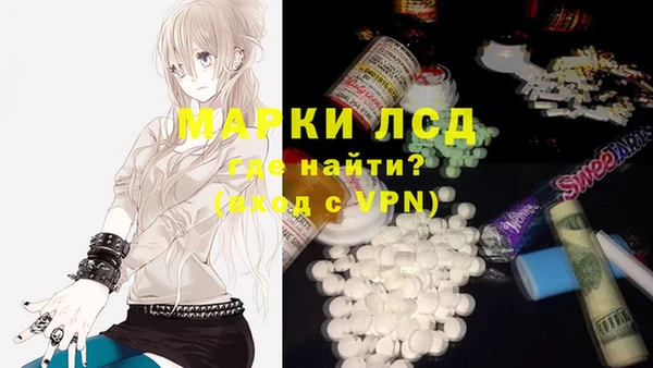 spice Елабуга